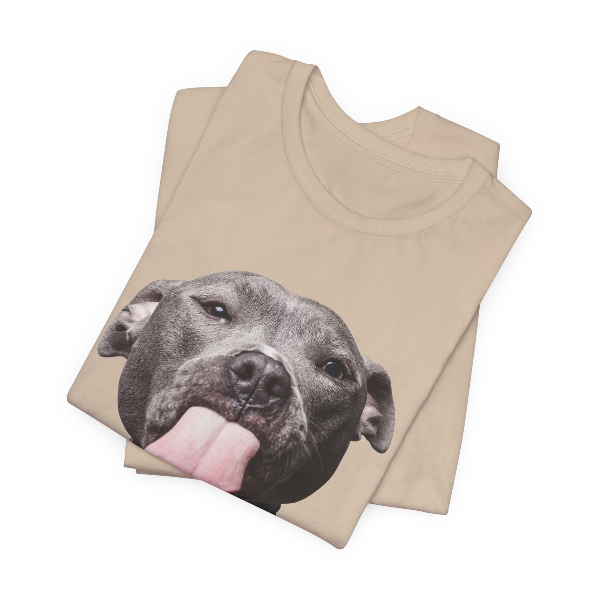 To All My Haters T-Shirt | Sassy Pitbull Dog Lover Gift