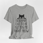You Have Cat To Be Kitten Me Right Meow T-Shirt | Funny Cat Lover Gift