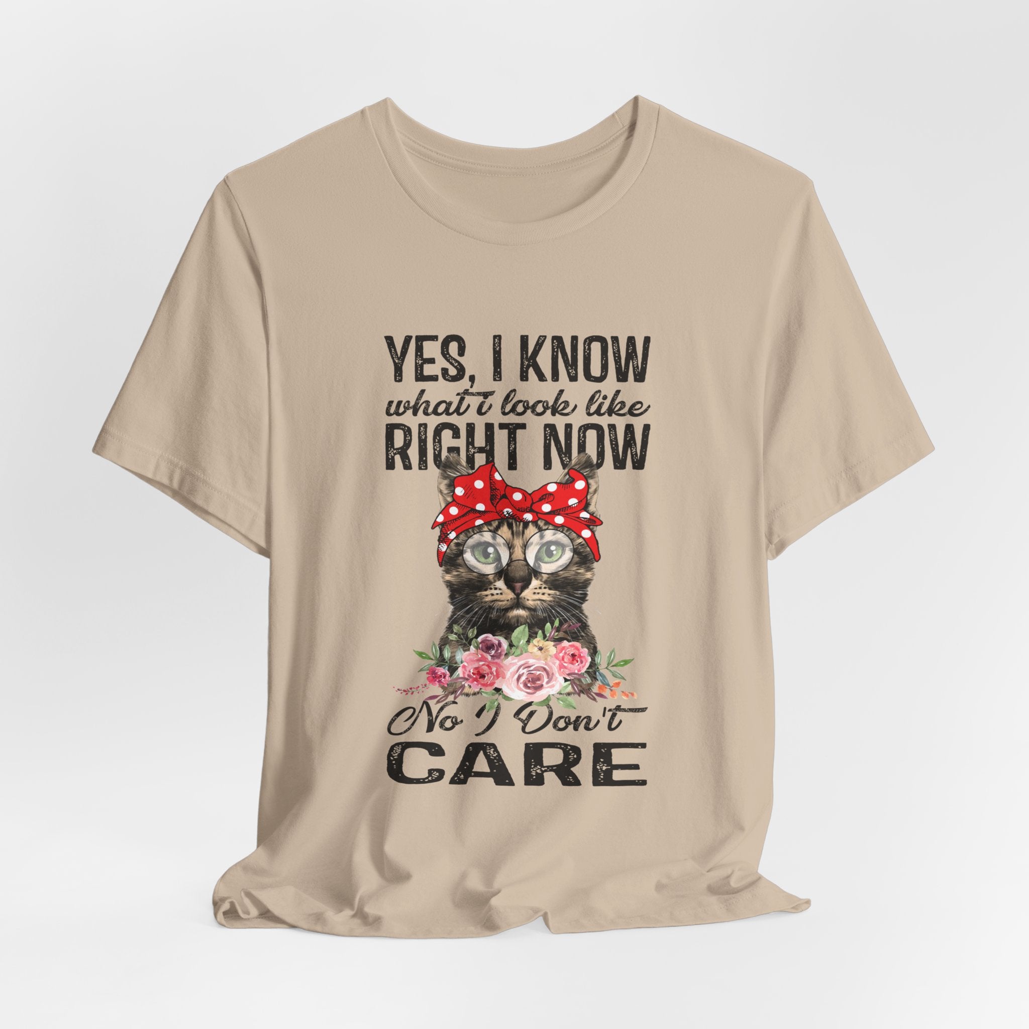 No I Don't Care Cat T-Shirt | Sassy Cat Lover Gift