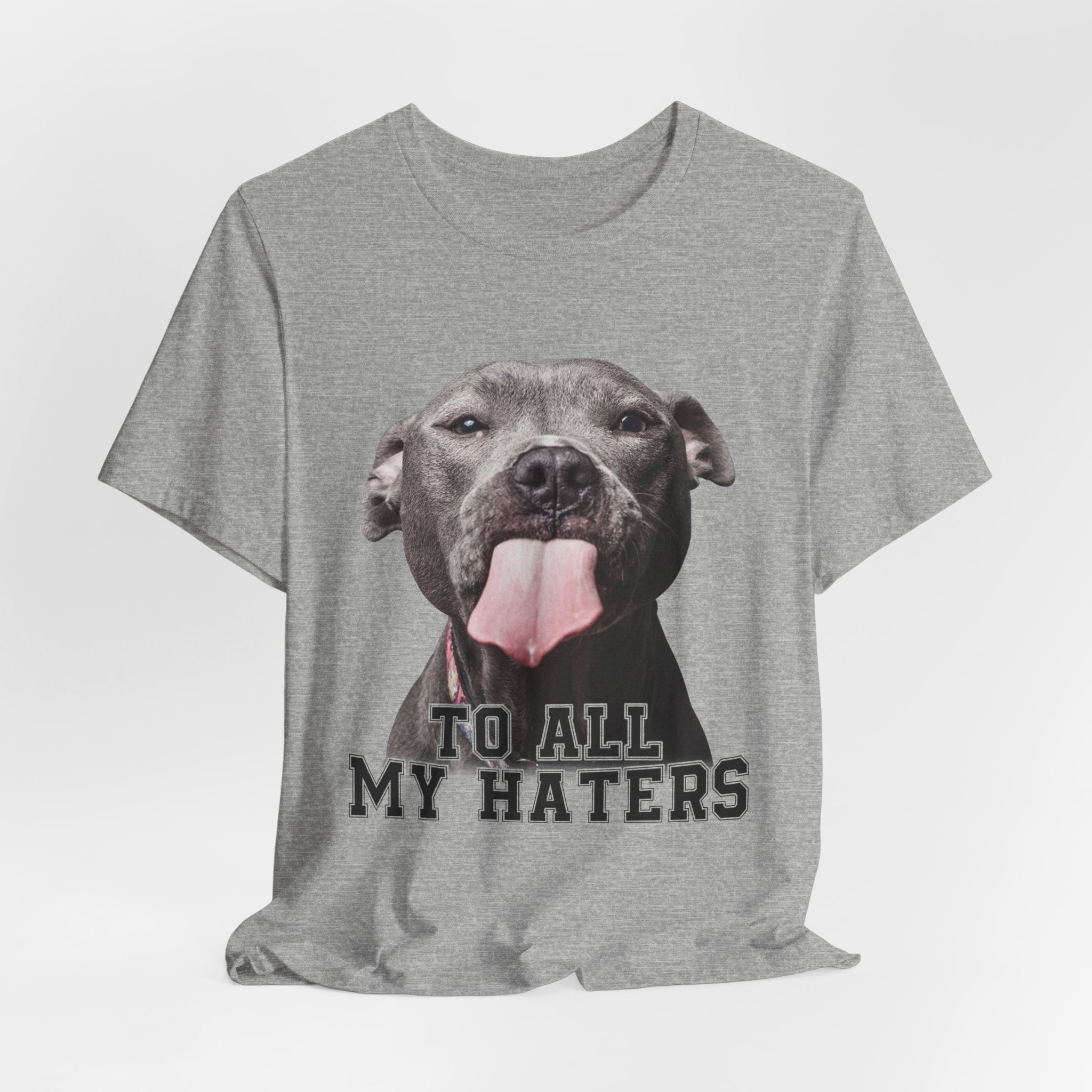 To All My Haters T-Shirt | Sassy Pitbull Dog Lover Gift
