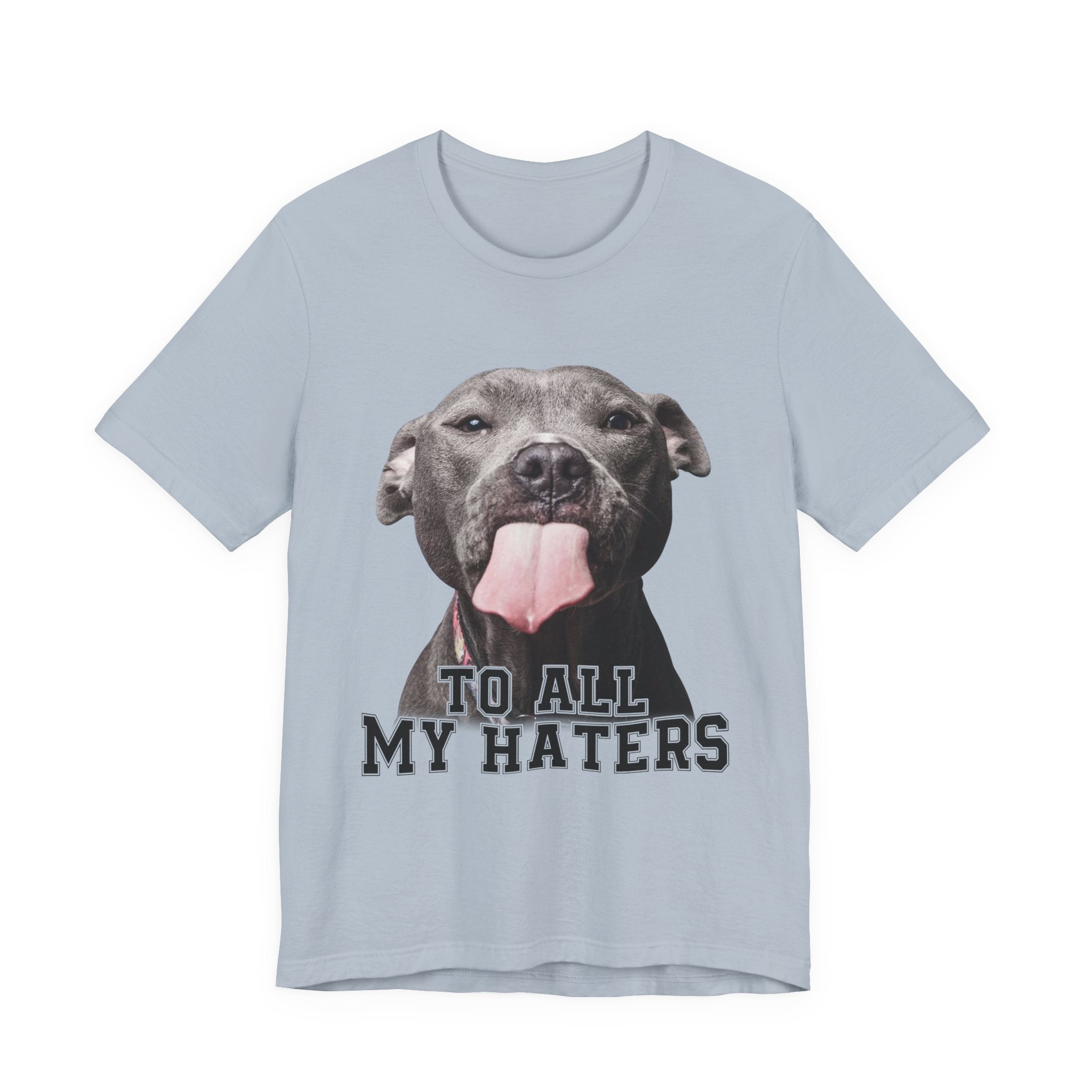 To All My Haters T-Shirt | Sassy Pitbull Dog Lover Gift