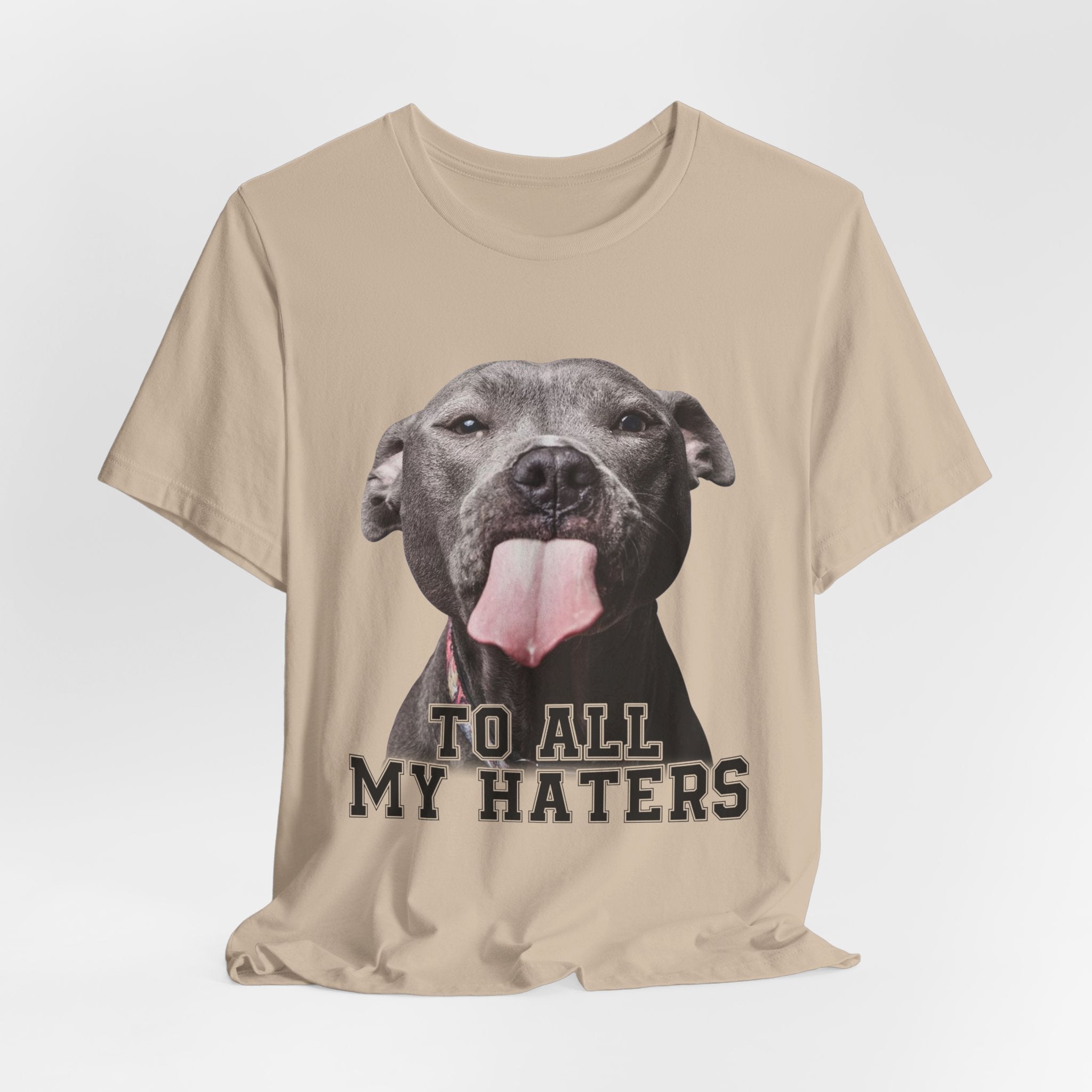 To All My Haters T-Shirt | Sassy Pitbull Dog Lover Gift