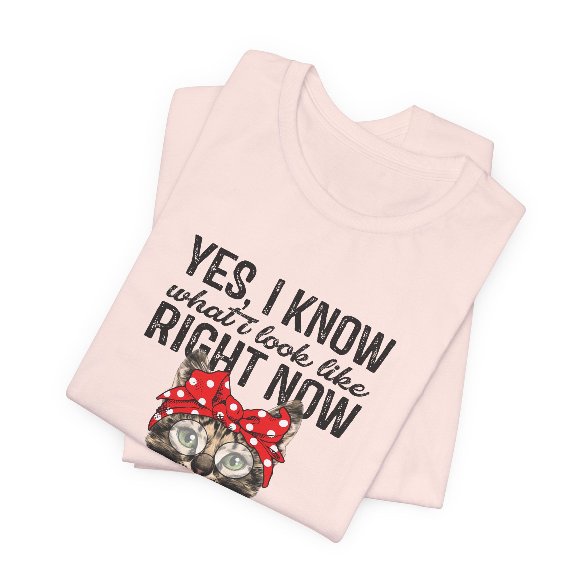 No I Don't Care Cat T-Shirt | Sassy Cat Lover Gift