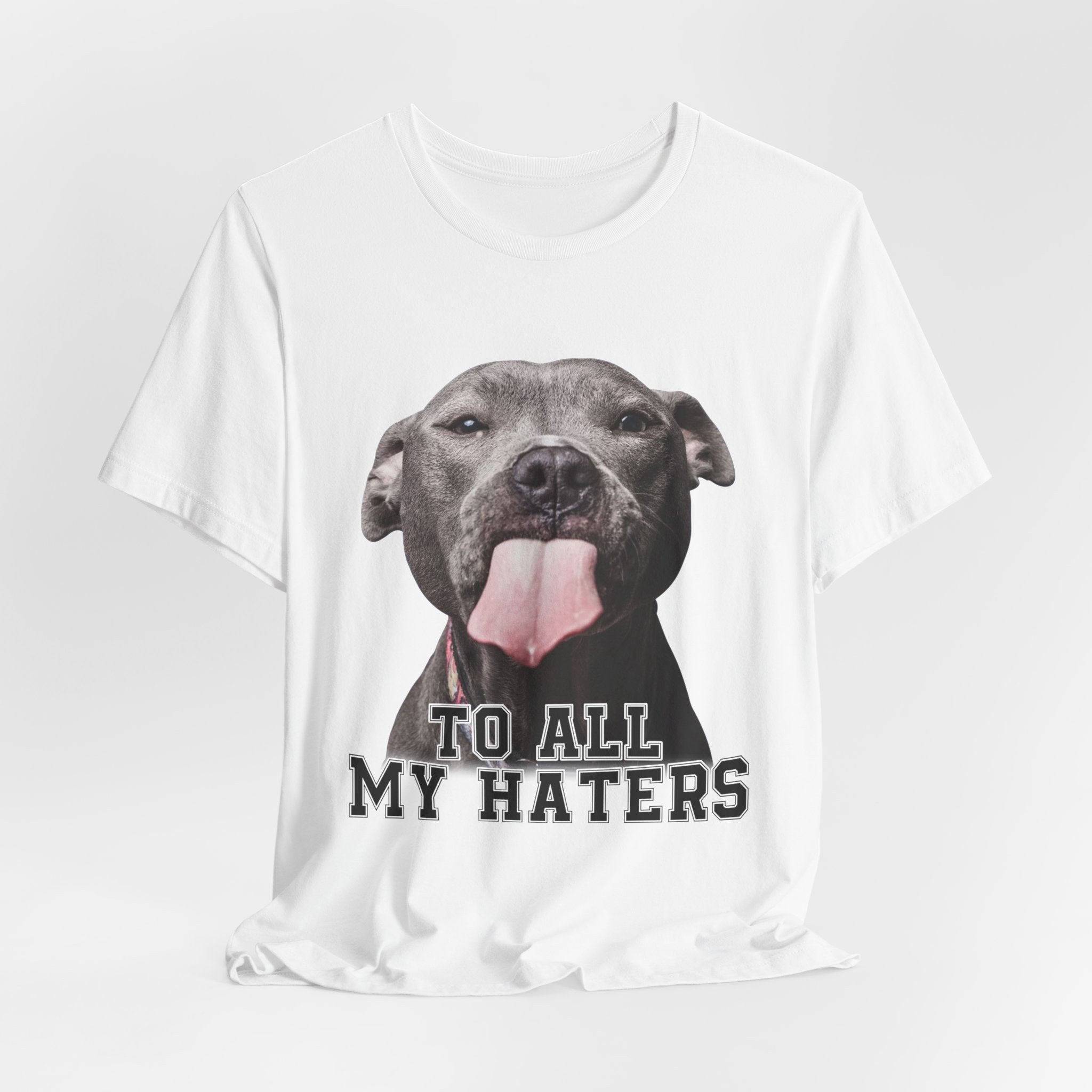 To All My Haters T-Shirt | Sassy Pitbull Dog Lover Gift