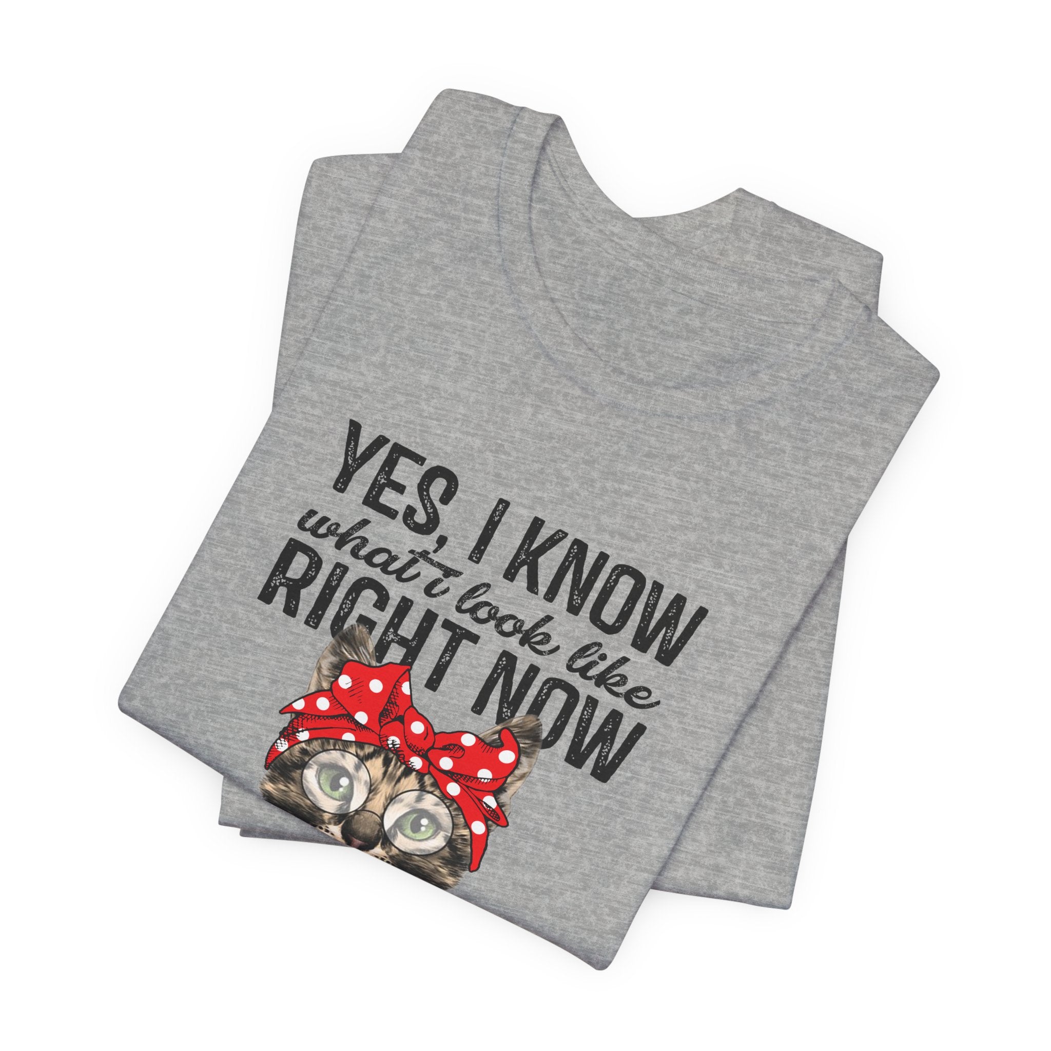 No I Don't Care Cat T-Shirt | Sassy Cat Lover Gift