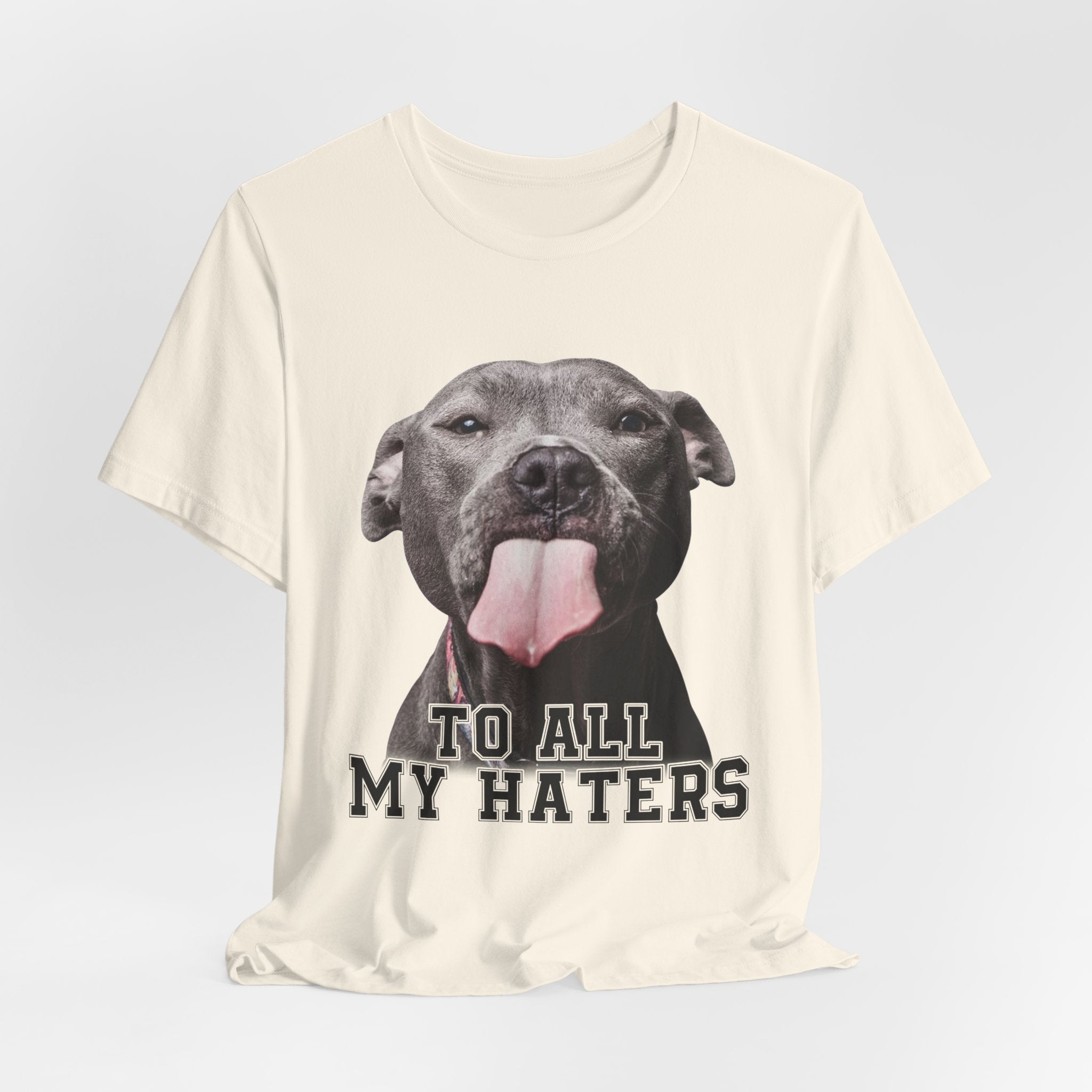 To All My Haters T-Shirt | Sassy Pitbull Dog Lover Gift