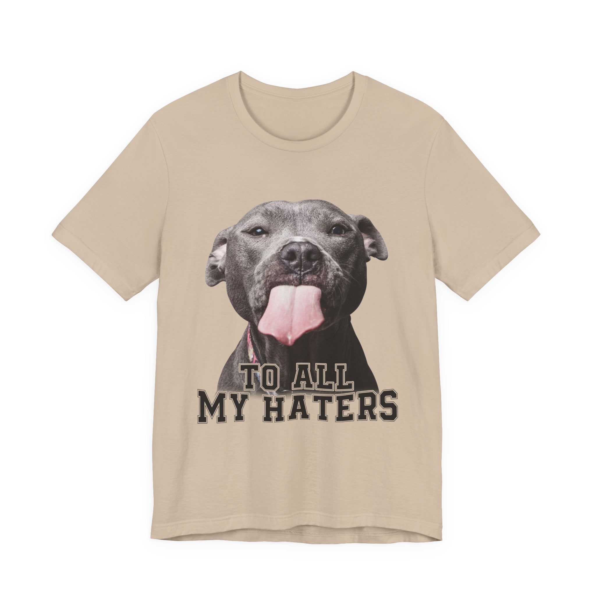 To All My Haters T-Shirt | Sassy Pitbull Dog Lover Gift