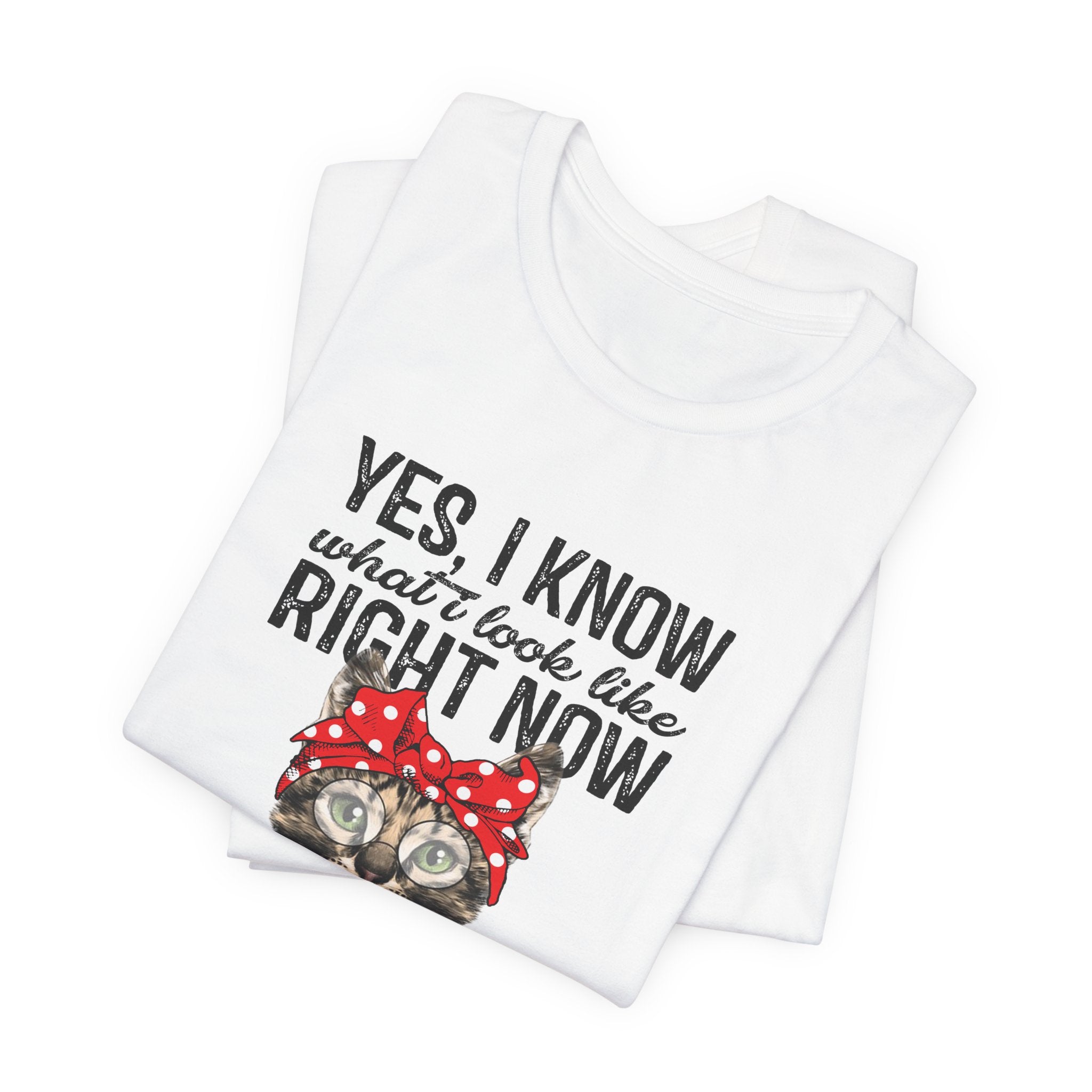 No I Don't Care Cat T-Shirt | Sassy Cat Lover Gift