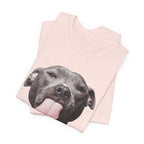 To All My Haters T-Shirt | Sassy Pitbull Dog Lover Gift