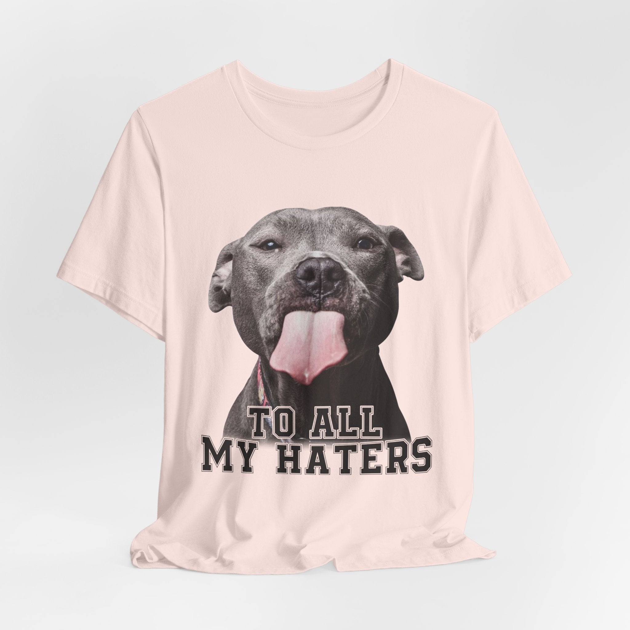 To All My Haters T-Shirt | Sassy Pitbull Dog Lover Gift