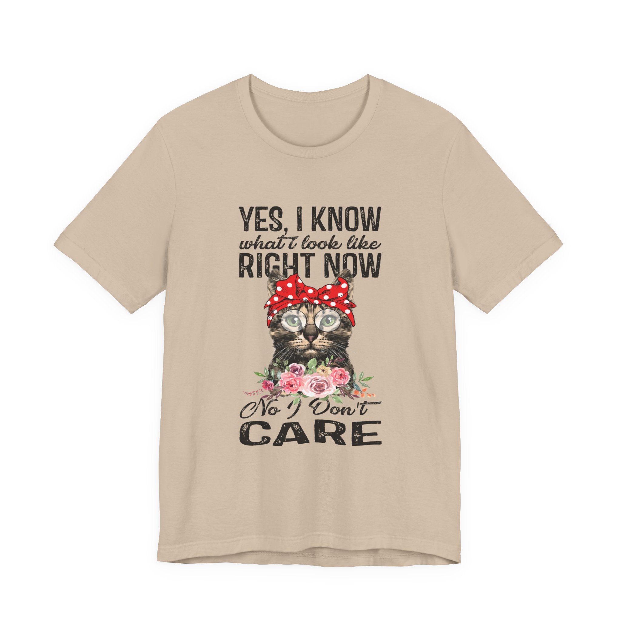 No I Don't Care Cat T-Shirt | Sassy Cat Lover Gift