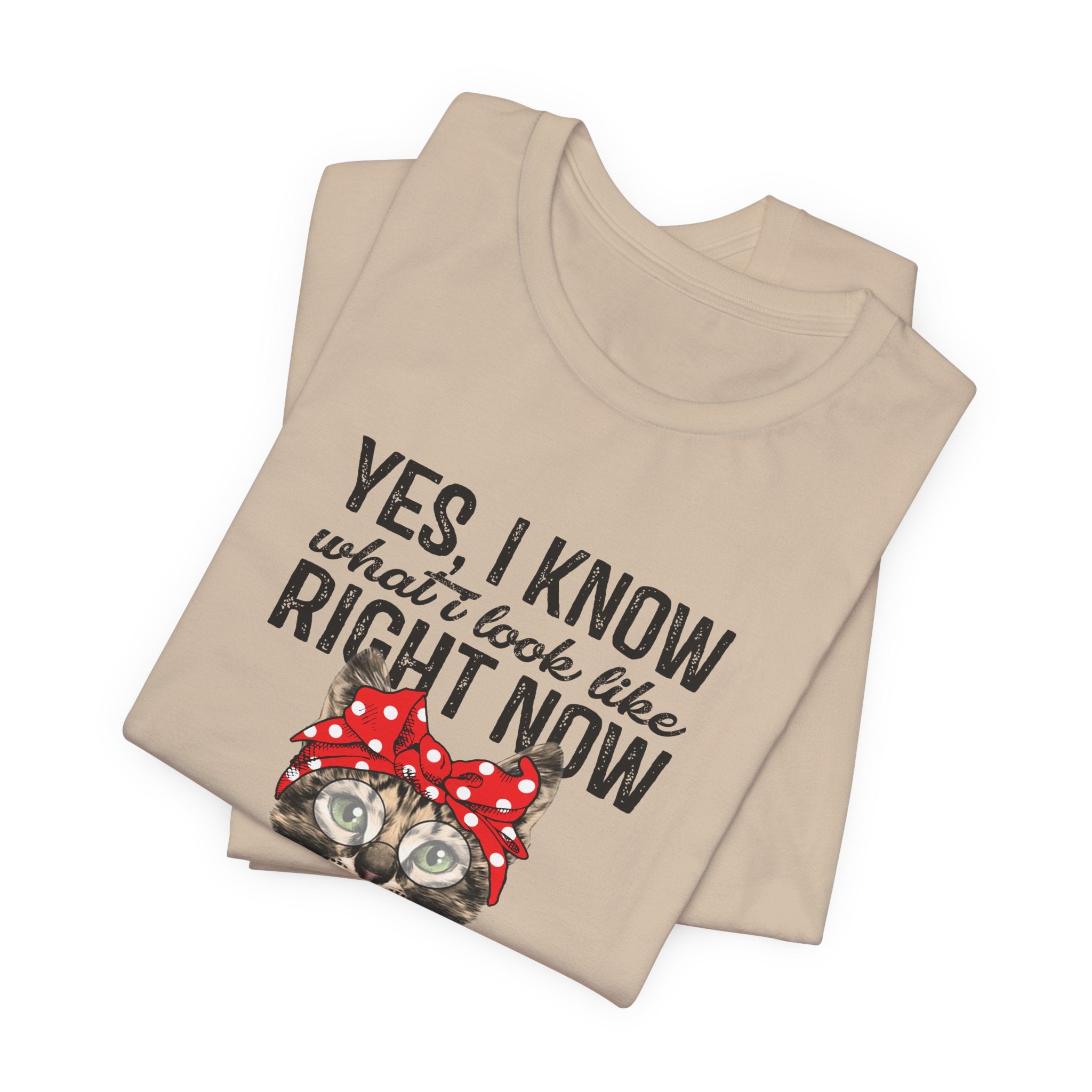 No I Don't Care Cat T-Shirt | Sassy Cat Lover Gift