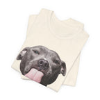 To All My Haters T-Shirt | Sassy Pitbull Dog Lover Gift