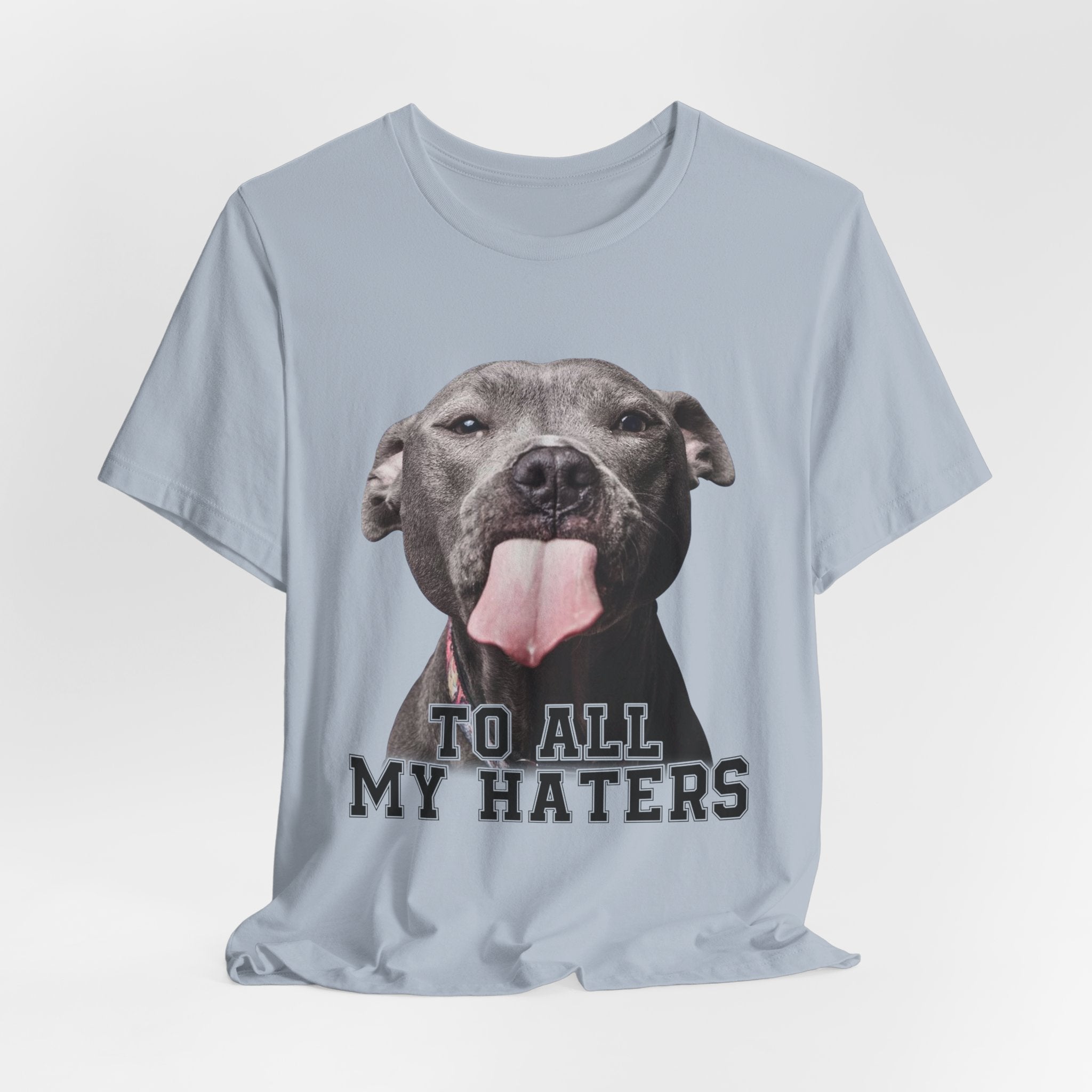 To All My Haters T-Shirt | Sassy Pitbull Dog Lover Gift