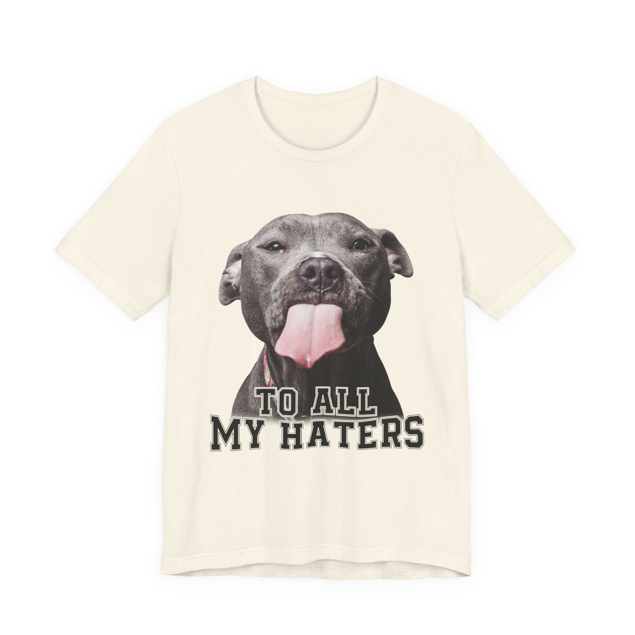 To All My Haters T-Shirt | Sassy Pitbull Dog Lover Gift