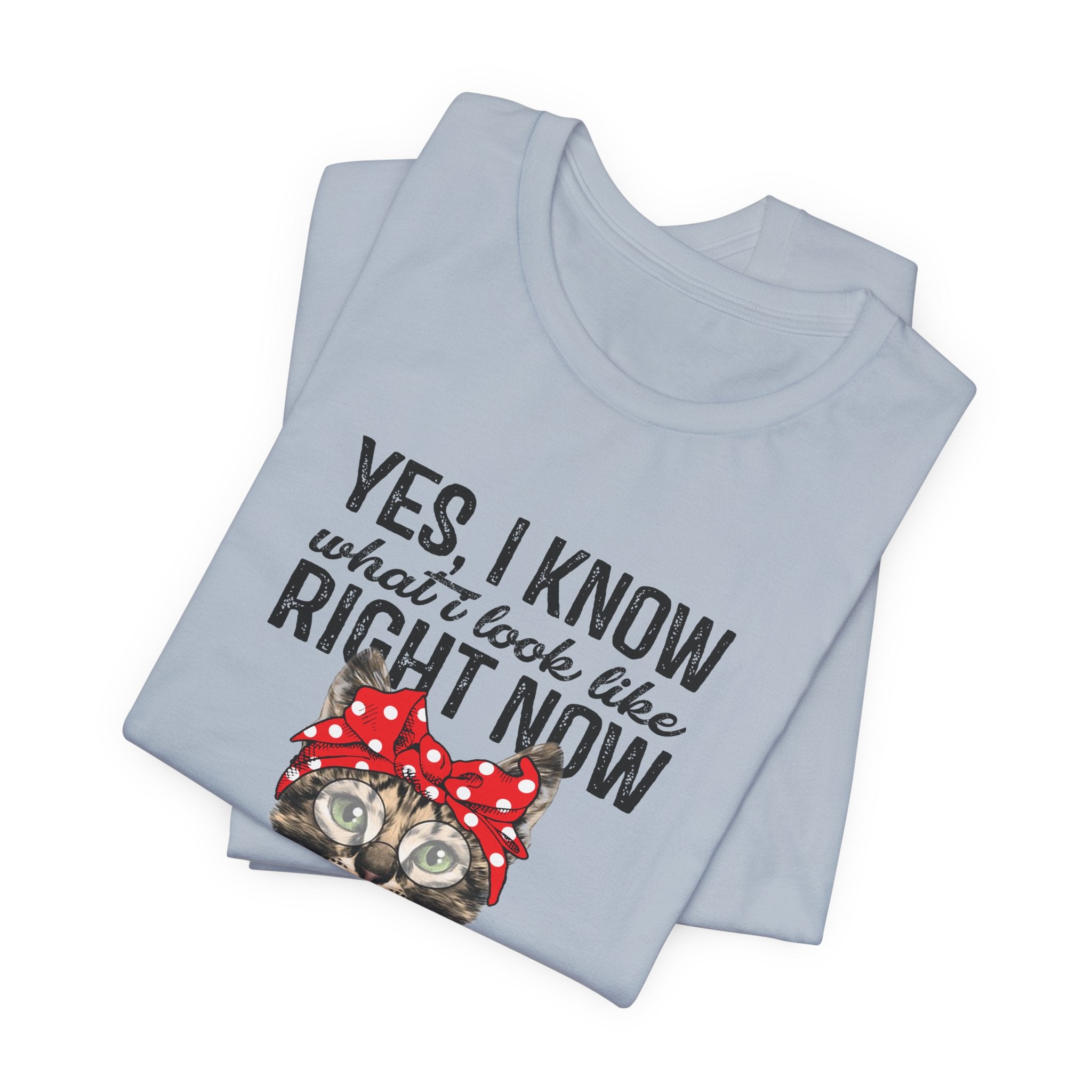 No I Don't Care Cat T-Shirt | Sassy Cat Lover Gift