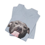 To All My Haters T-Shirt | Sassy Pitbull Dog Lover Gift
