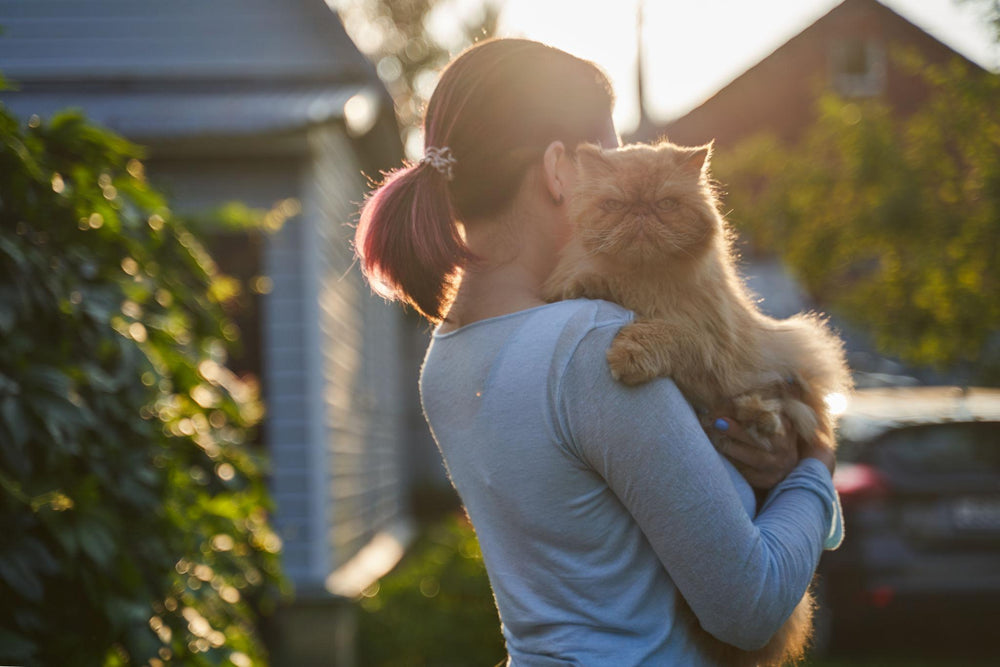 CAT LOVERS